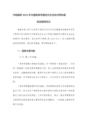 市局副职2023年主题教育专题民主生活会对照检查发言提纲范文.docx