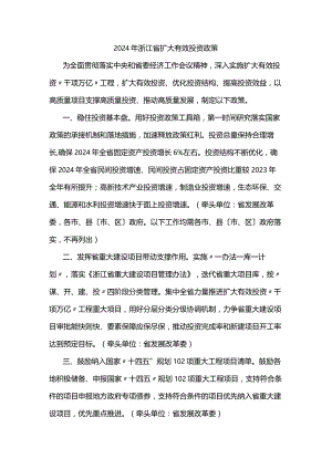 2024年浙江省扩大有效投资政策.docx