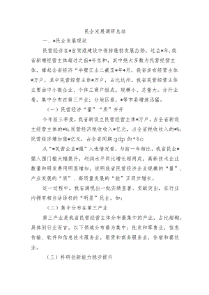 民企发展调研总结.docx