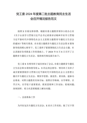 党工委2024年度第二批主题教育民主生活会召开情况报告范文.docx