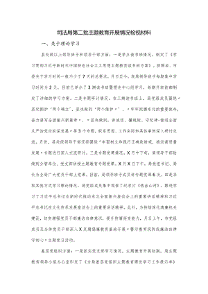 司法局第二批主题教育开展情况检视材料.docx