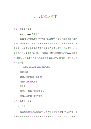 公司付款承诺书十篇.docx