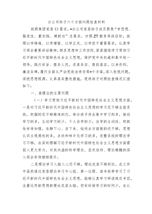 分公司班子六个方面问题检查材料.docx
