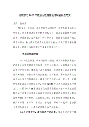 民政部门2023年度法治政府建设情况的报告范文.docx