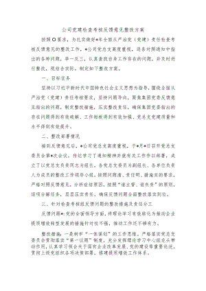 公司党建检查考核反馈意见整改方案.docx