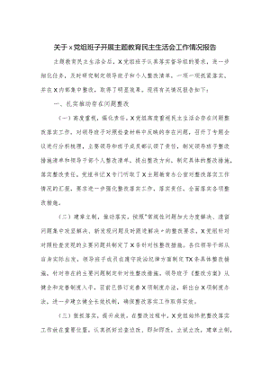 关于x党组班子开展主题教育民主生活会工作情况报告.docx