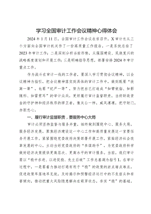 学习全国审计工作会议精神心得体会.docx
