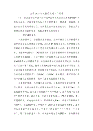 公司2023年抓基层党建工作总结.docx