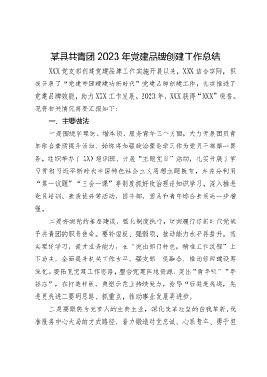 某县共青团2023年党建品牌创建工作总结.docx