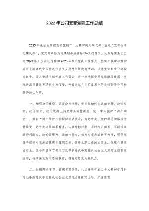 2023年公司支部党建工作总结.docx
