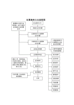 安全扑救森林火灾注意事项和处置森林火灾流程图.docx