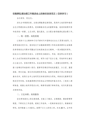 在散葬乱埋治理工作推进会上的表态发言范文.docx