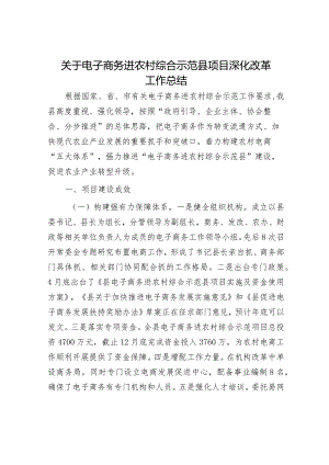 关于电子商务进农村综合示范县项目深化改革工作总结.docx