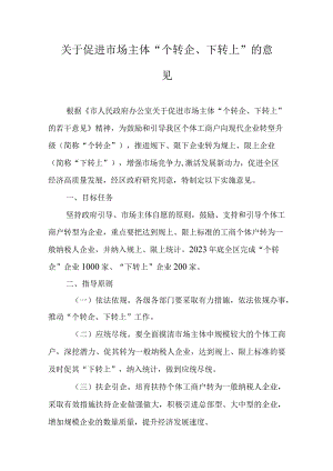 关于促进市场主体“个转企、下转上”的意见.docx