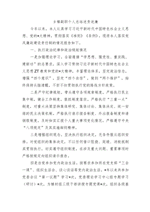 乡镇副职个人总结述责述廉.docx