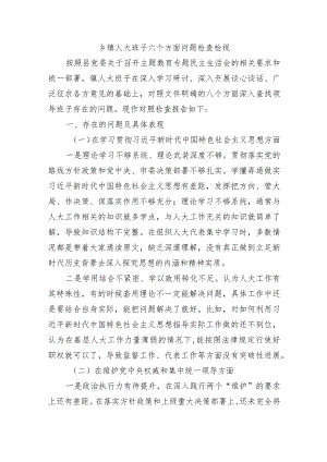 乡镇人大班子六个方面问题检查检视.docx