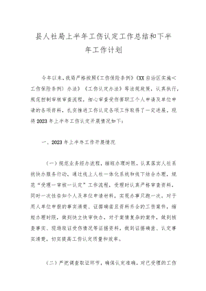 县人社局上半年工伤认定工作总结和下半年工作计划.docx