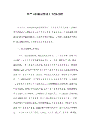 2023年抓基层党建工作述职报告.docx