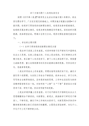 四个方面问题个人检视检查发言.docx