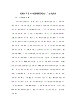 党委（党组）书记抓基层党建工作述职报告.docx