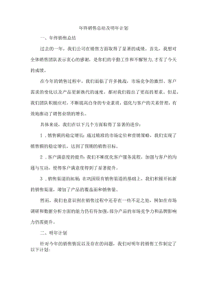 年终销售总结及明年计划.docx