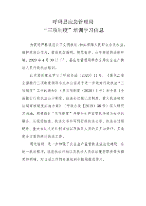 呼玛县应急管理局“三项制度”培训学习信息.docx