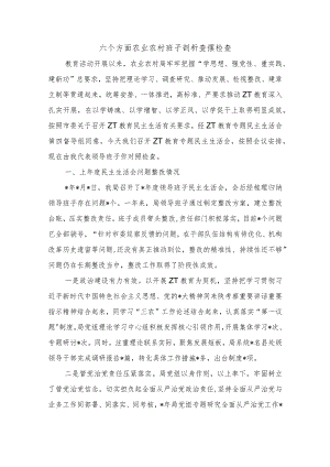 六个方面农业农村班子剖析查摆检查.docx