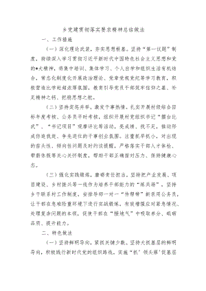 乡党建贯彻落实要求精神总结做法.docx