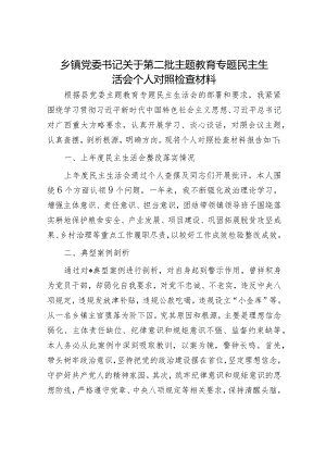 乡镇党委书记关于第二批主题教育专题民主生活会个人对照检查材料.docx