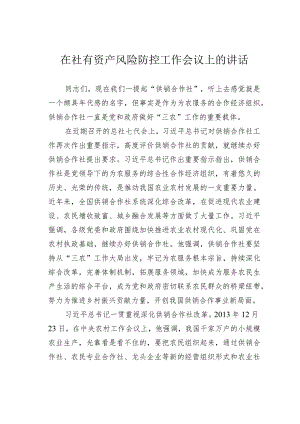 在社有资产风险防控工作会议上的讲话.docx