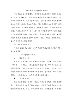 2023年教育活动班子检查剖析.docx