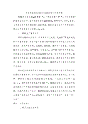 乡专题组织生活会开展民主评议实施方案.docx