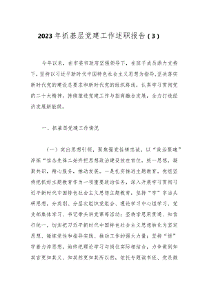2023年抓基层党建工作述职报告（3）.docx