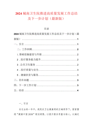 2024中心卫生院推进高质量发展工作总结及下一步计划.docx