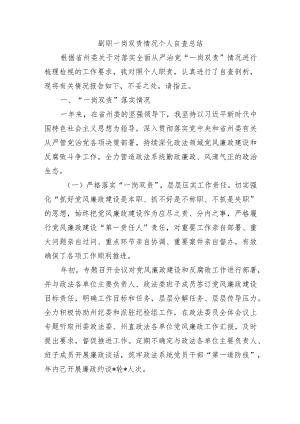 副职一岗双责情况个人自查总结.docx