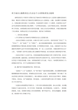班子成员主题教育民主生活会个人对照检查发言提纲.docx