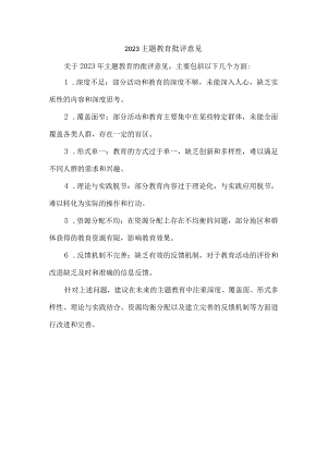 2023主题教育批评意见.docx