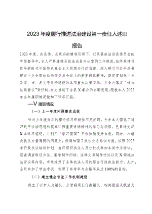 2023年度履行推进法治建设第一责任人述职报告.docx