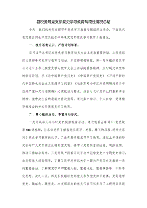 县税务局党支部党史学习教育阶段性情况总结.docx