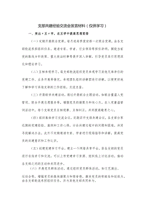 支部共建经验交流会发言材料.docx