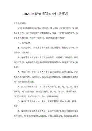 2023年春节期间安全注意事项（5页）.docx