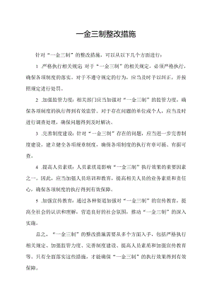 一金三制整改措施.docx