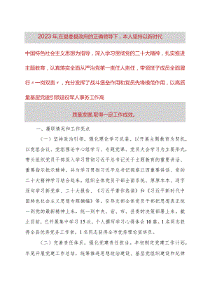 2023年度抓基层党建工作述职报告.docx