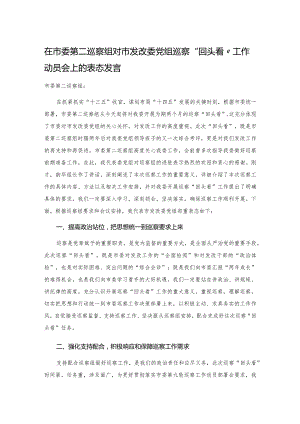 20201122在市委第二巡察组对市发改委党组巡察“回头看”工作动员会上的表态发言.docx