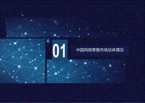2023年中国网络零售市场发展报告.docx
