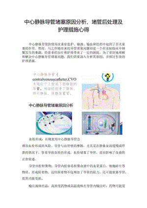 中心静脉导管堵塞原因分析、堵管后处理及护理措施心得.docx