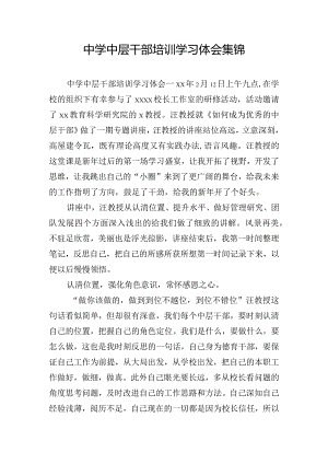 中学中层干部培训学习体会集锦.docx
