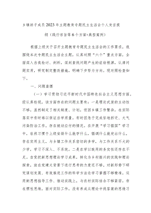 乡镇班子成员2023年主题教育专题民主生活会个人发言提纲（践行宗旨等6个方面+典型案例）.docx