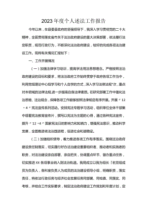 2023年度个人述法工作报告.docx