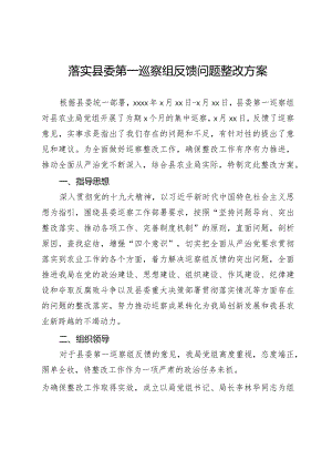20210210落实县委第一巡察组反馈问题整改方案.docx